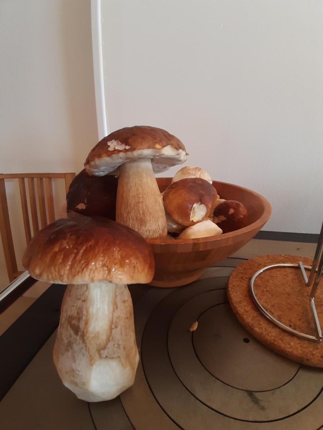 Gite Le Petit Nice Pradelles Esterno foto