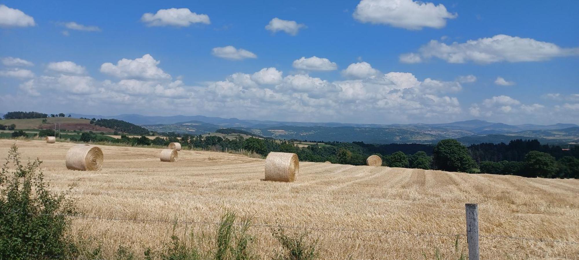 Gite Le Petit Nice Pradelles Esterno foto